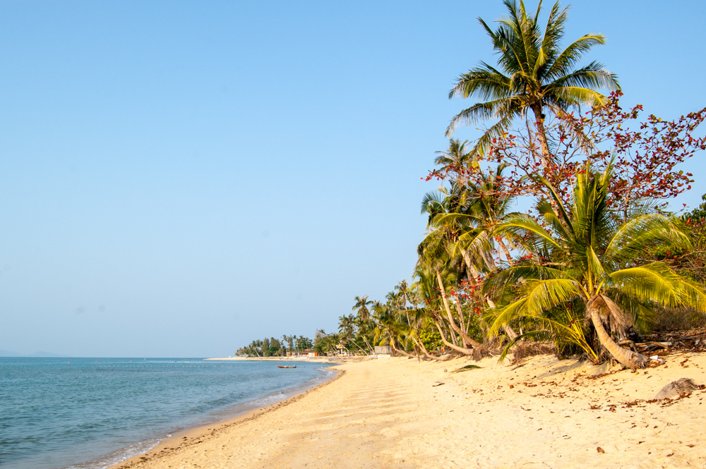 the empty beach